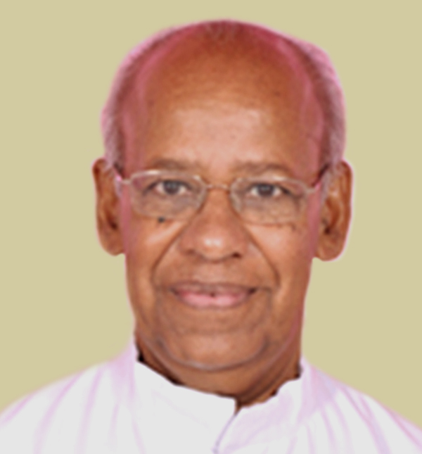 Rev. Fr. Francis Vineeth Vadakkethala CMI (86)